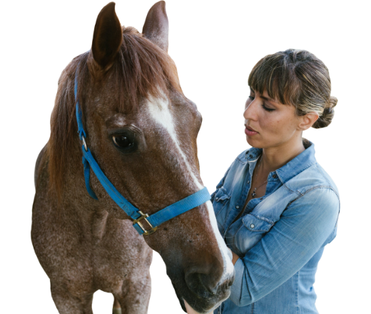 Global Reach, Local Care