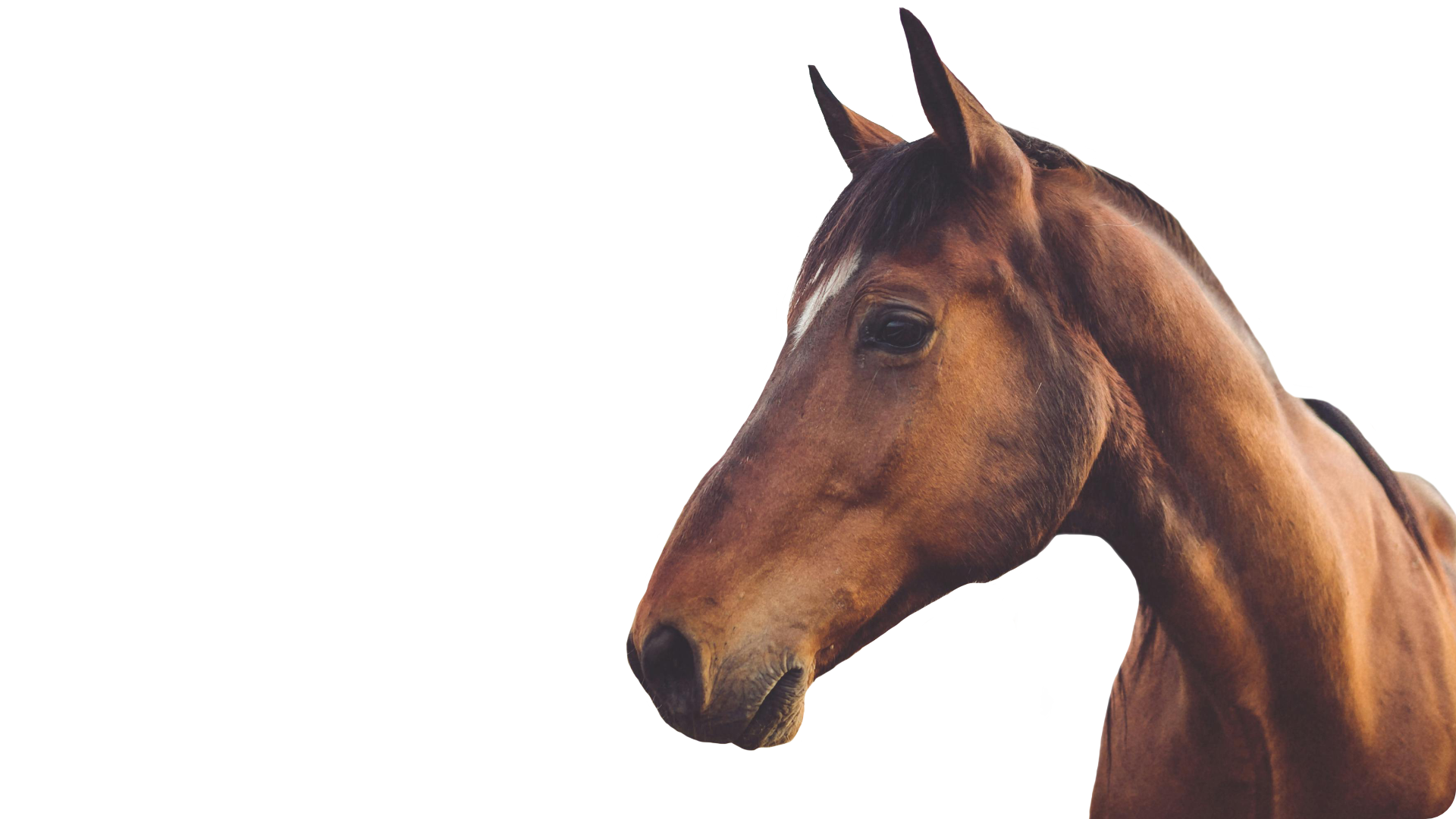 Get the help you need, when you need it